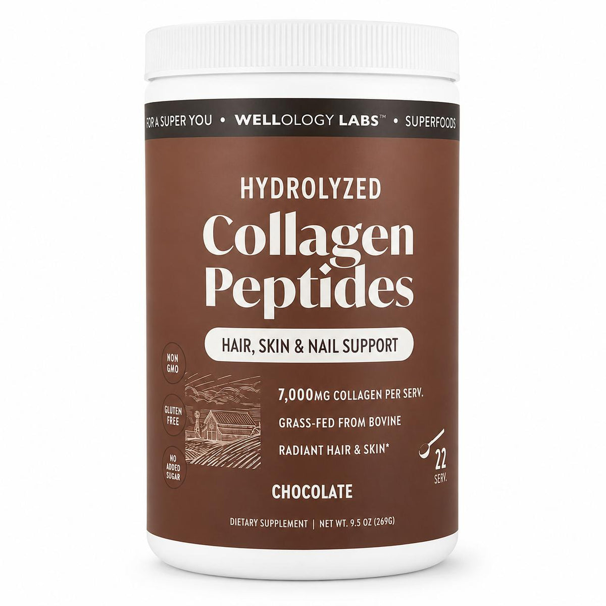 Wellology Labs Colágeno Hidrolizado – Suplemento Alimenticio en Polvo Sabor Chocolate 269 g