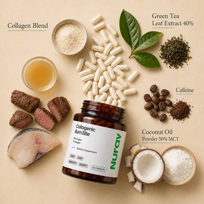 Nurday Collagenic Burn Elite – Suplemento Dietético con 5 Tipos de Colágeno 60 Cápsulas
